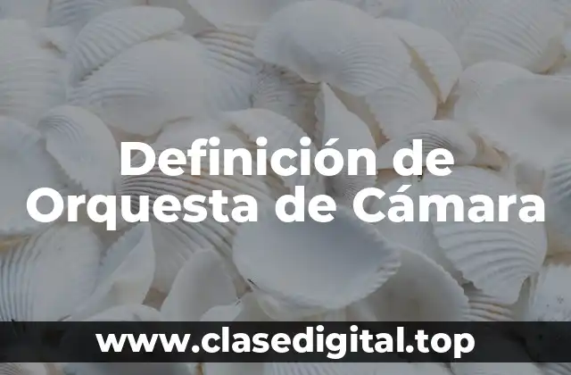 Definición Técnica de Orquesta de Cámara