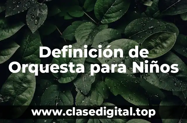 Definición de Orquesta para Niños