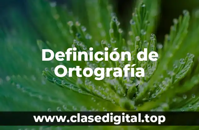 Definición de Ortografía