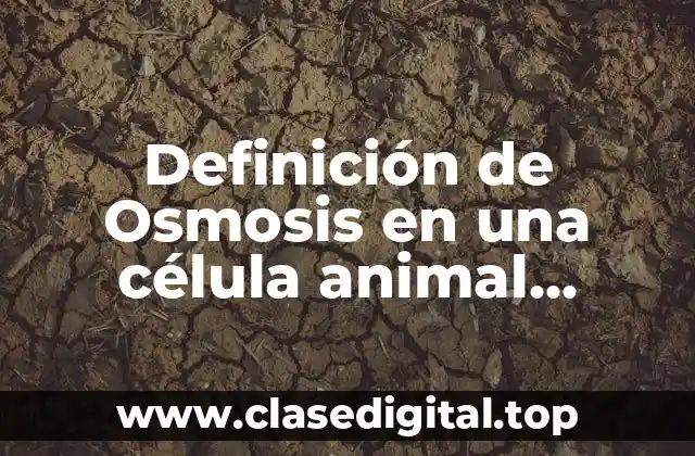 Definición de Osmosis en una célula animal biología