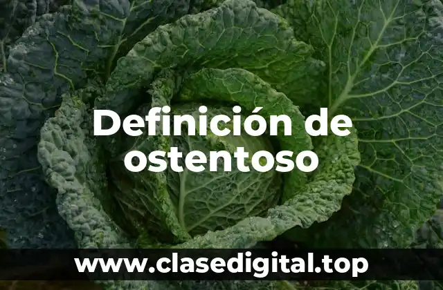 Definición de ostentoso