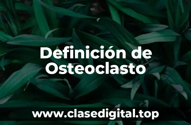 Definición de Osteoclasto