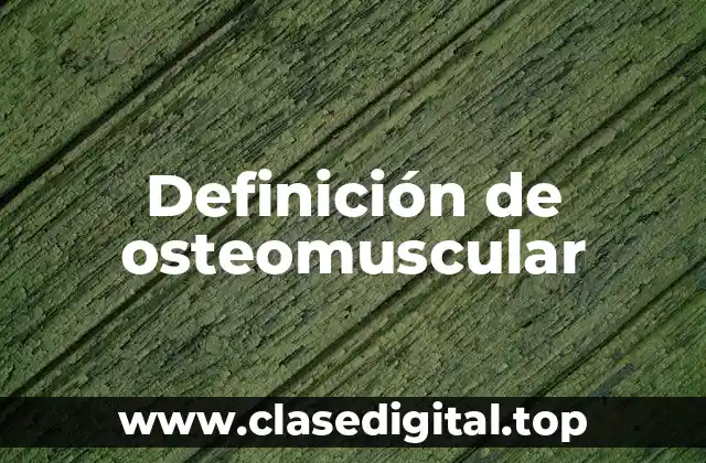 Definición de osteomuscular