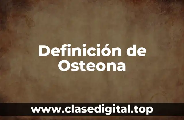 Definición de Osteona