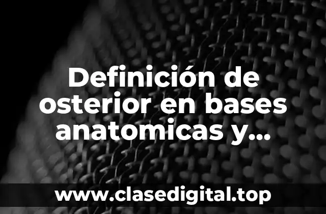 Definición de osterior en bases anatomicas y fisiologicas