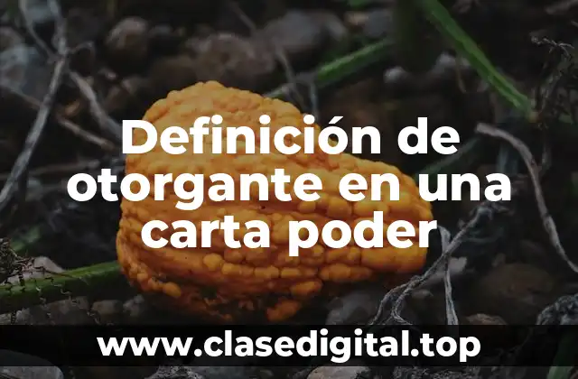 Definición de otorgante en una carta poder