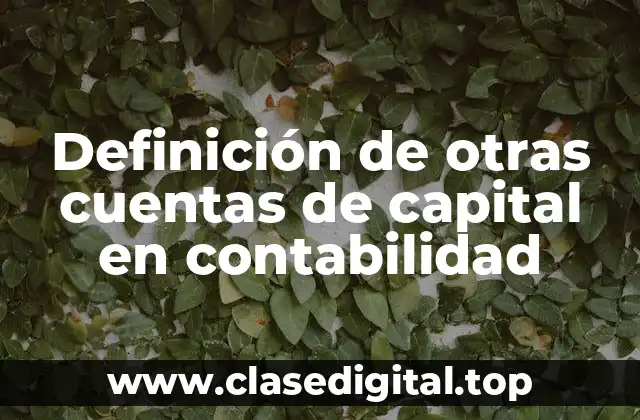 Definición de otras cuentas de capital en contabilidad