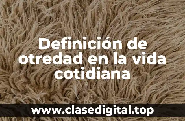 Ejemplos de otredad en la vida cotidiana