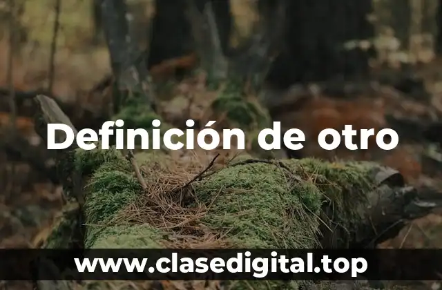 Definición de otro