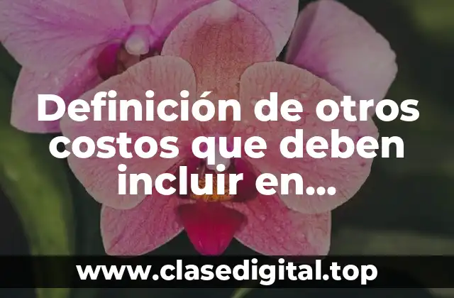 Definición de otros costos que deben incluir en inventarios