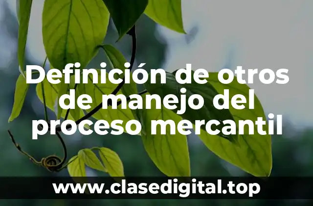 Definición de otros de manejo del proceso mercantil