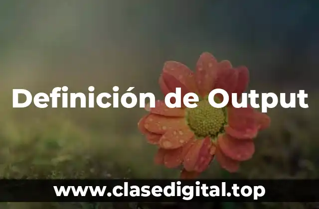Definición de Output
