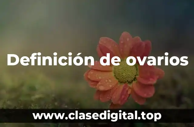 Definición de ovarios
