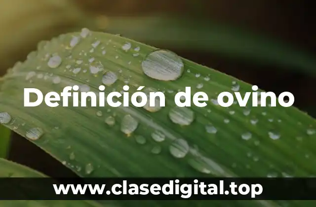 Definición de ovino