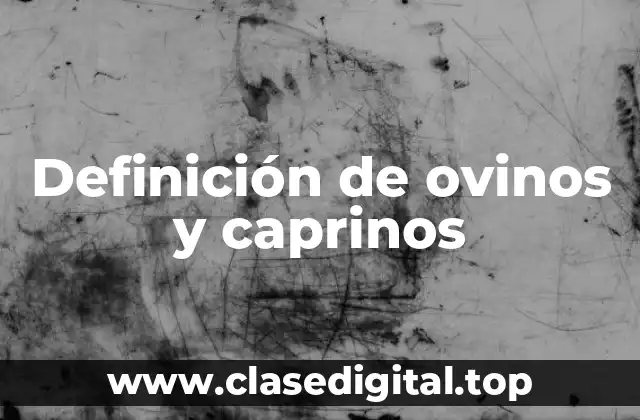 Definición de ovinos y caprinos