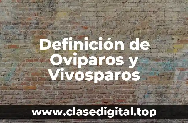 Definición de Oviparos y Vivosparos