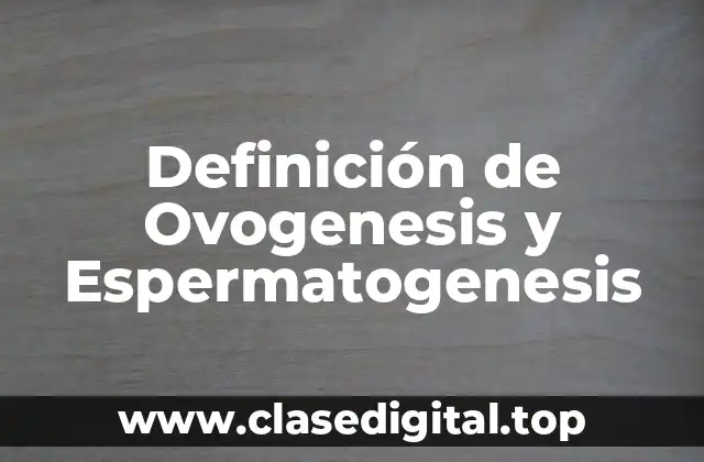 Definición de Ovogenesis y Espermatogenesis