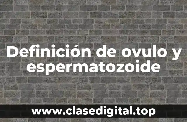 Definición de ovulo y espermatozoide