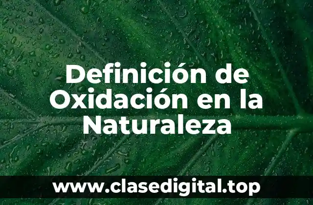 Definición de Oxidación en la Naturaleza