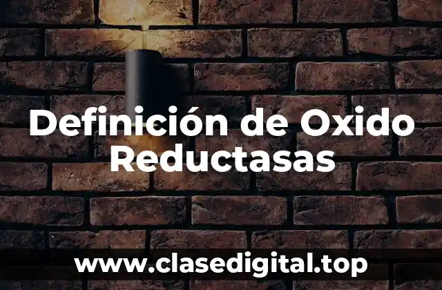Definición de Oxido Reductasas