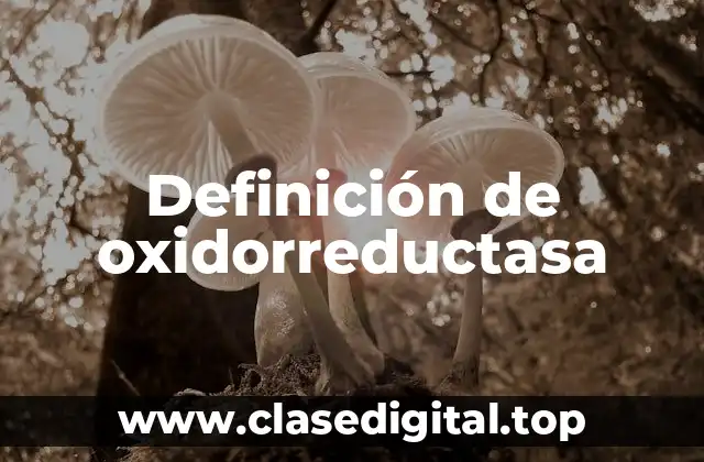Ejemplos de oxidorreductasa
