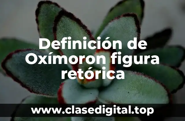 Definición de Oxímoron figura retórica