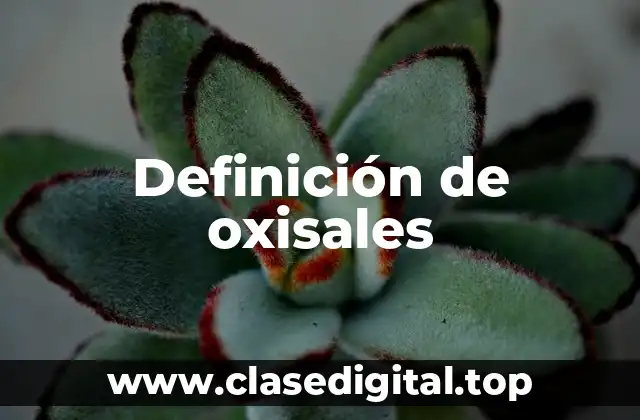 Definición de oxisales