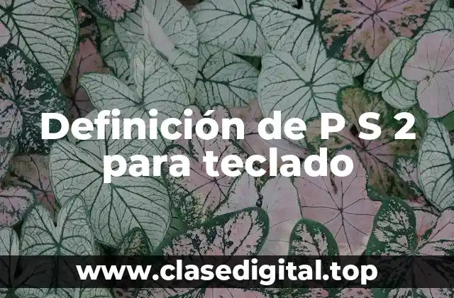 Definición de P S 2 para teclado