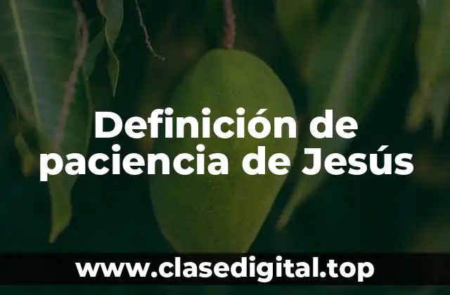 Definición de paciencia de Jesús