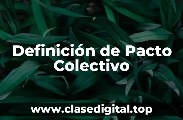 Definición de Pacto Colectivo