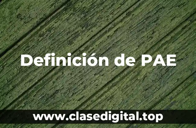 Definición de PAE