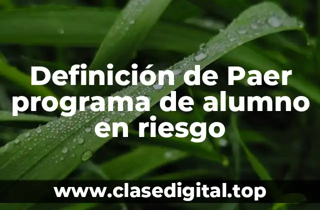 Definición técnica de Paer programa de alumno en riesgo