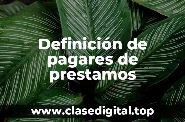 Definición de pagares de prestamos