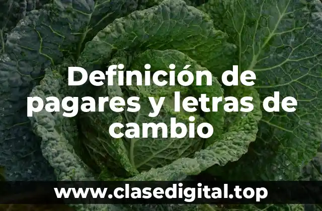 Definición de pagares y letras de cambio