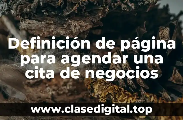 Definición de página para agendar una cita de negocios