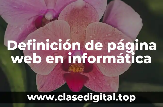 Definición de página web en informática