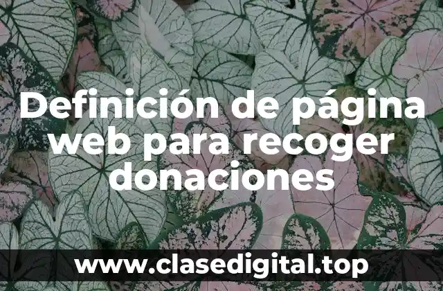 Definición de página web para recoger donaciones
