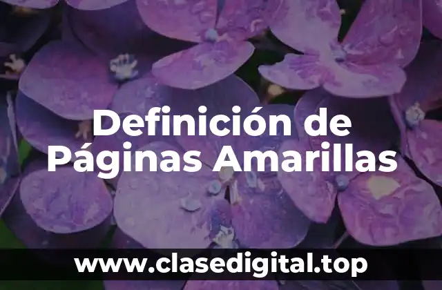 Definición de Páginas Amarillas