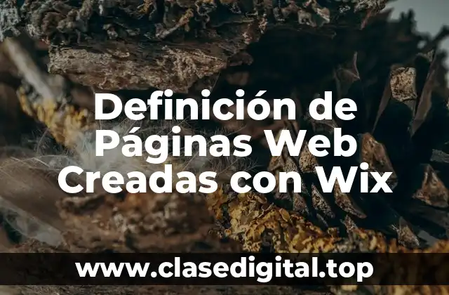 Definición de Páginas Web Creadas con Wix