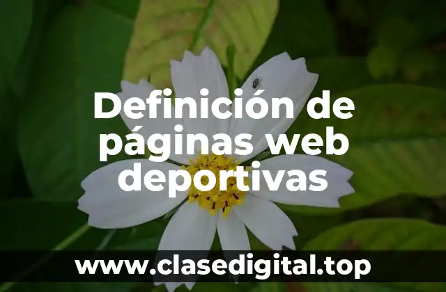 Definición de páginas web deportivas