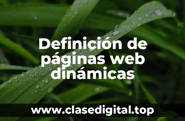Definición de páginas web dinámicas
