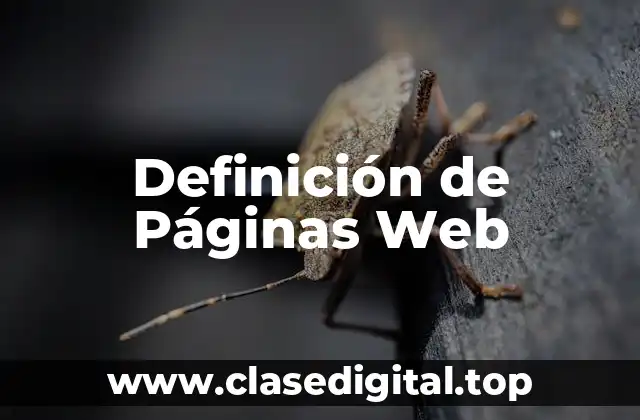 Ejemplos de Páginas Web