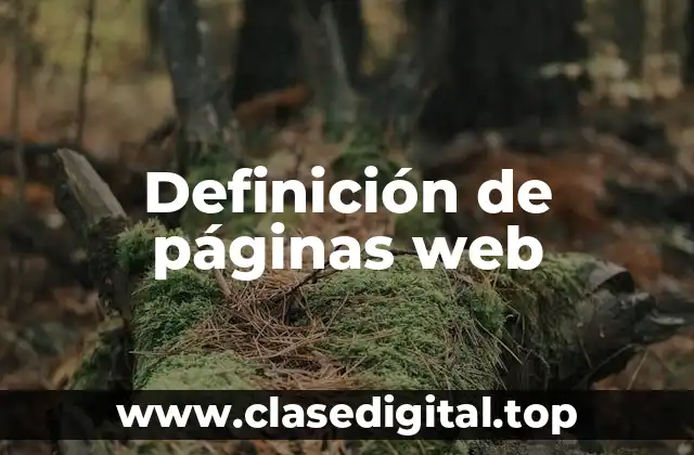 Definición técnica de página web