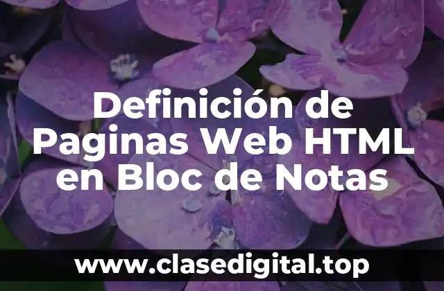 Definición de Paginas Web HTML en Bloc de Notas