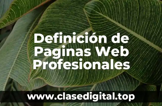 Definición de Paginas Web Profesionales
