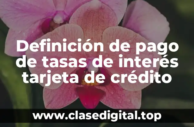 Ejemplos de pago de tasas de interés tarjeta de crédito