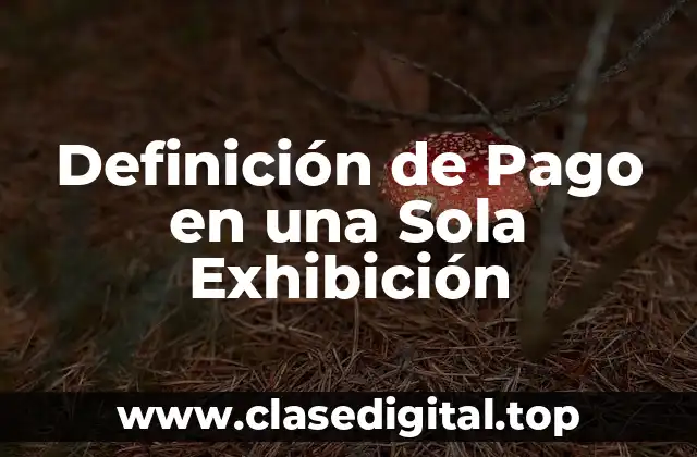 Definición Técnica de Pago en una Sola Exhibición