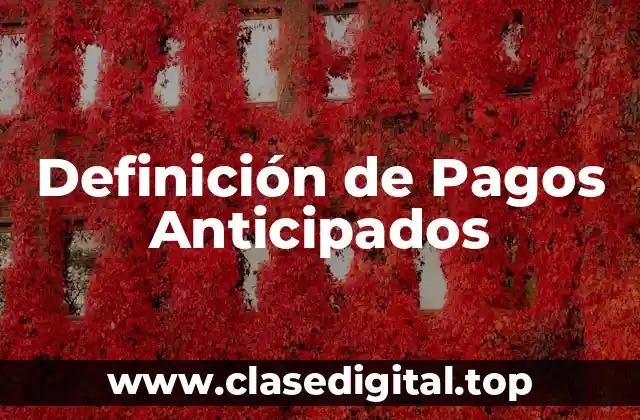 Definición de Pagos Anticipados
