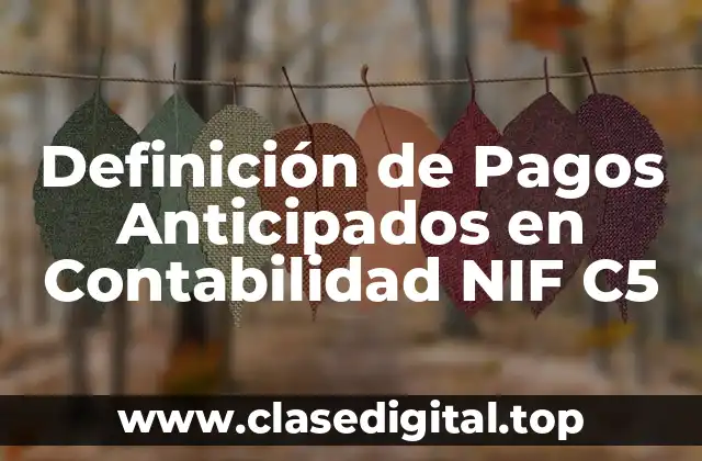 Definición de Pagos Anticipados en Contabilidad NIF C5