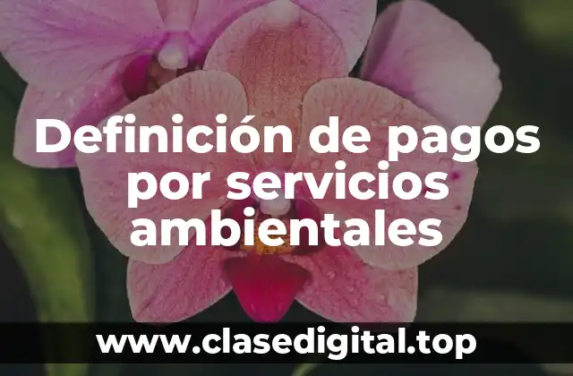 Definición de pagos por servicios ambientales
